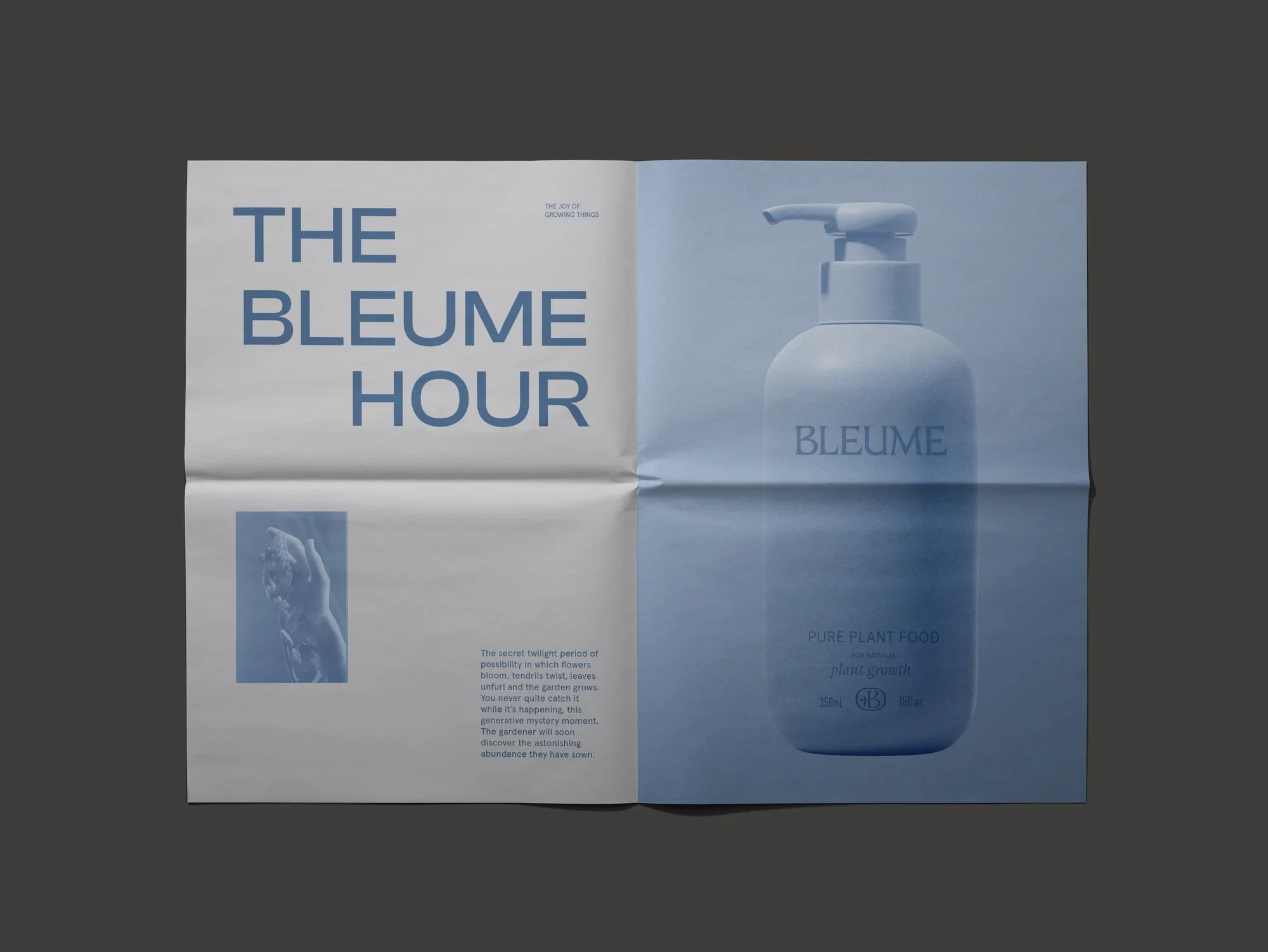  We infused this twilight sensibility throughout the brand identity. 