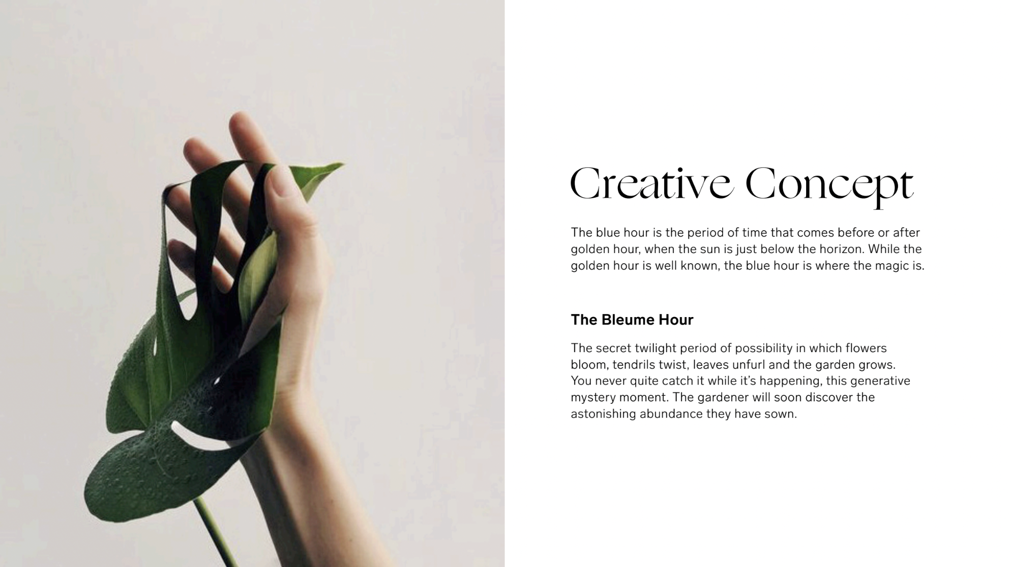  Then we pushed the idea further by reimagining it as a mysterious hour of generative plant growth, hidden from human view. We named this concept The Bleume Hour—a period of plant possibility when flowers bloom, tendrils twist, leaves unfurl and the 