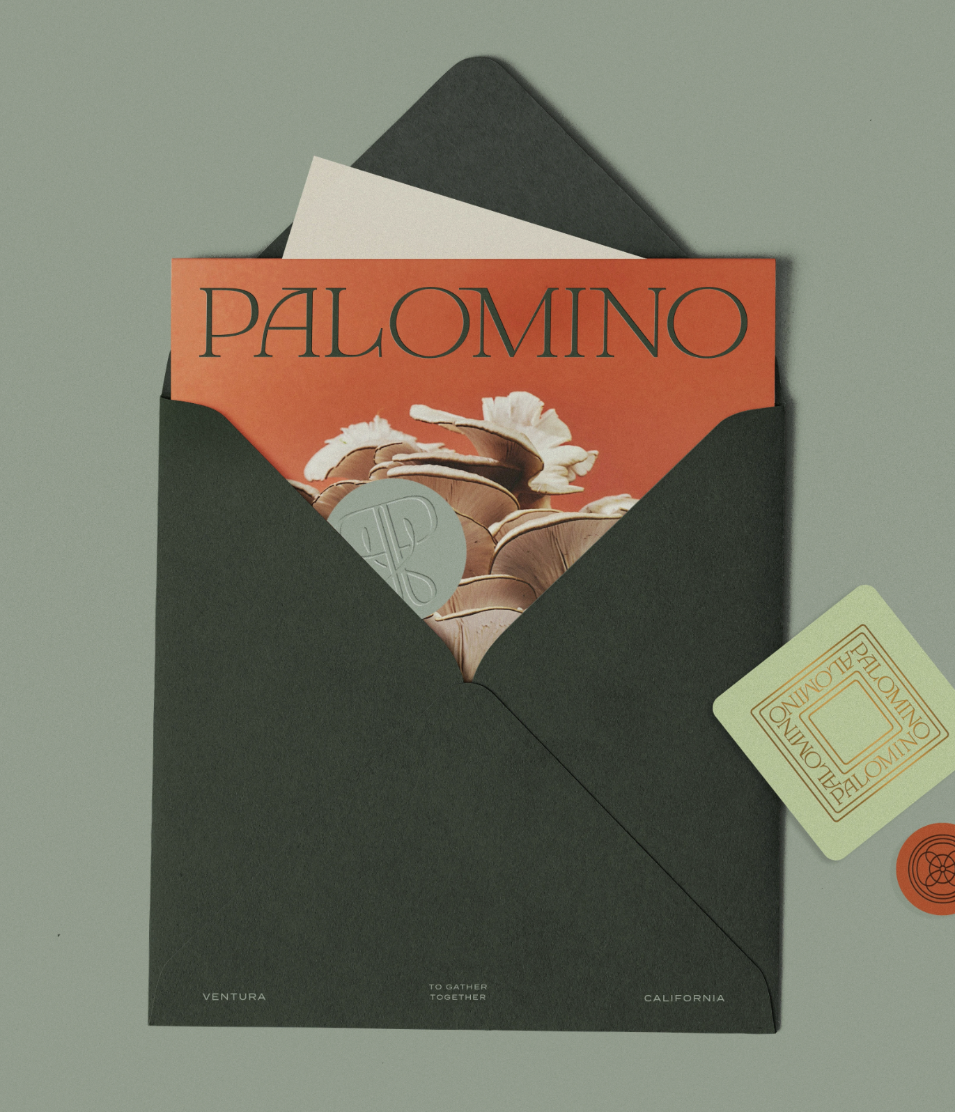 Verbal Identity + Messaging