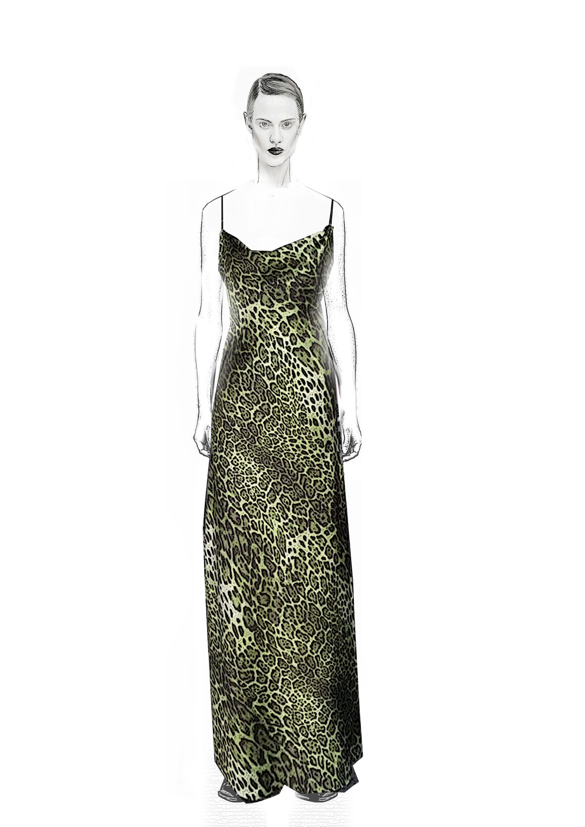 long dress leopard.jpg