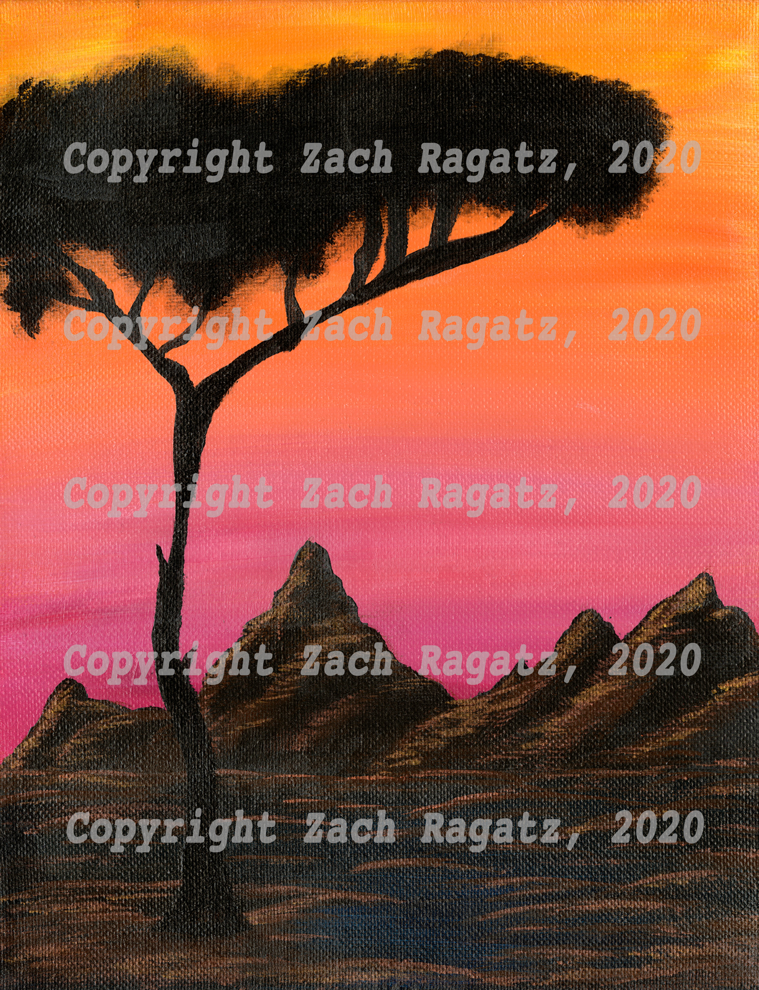 #21 Acacia Sunset