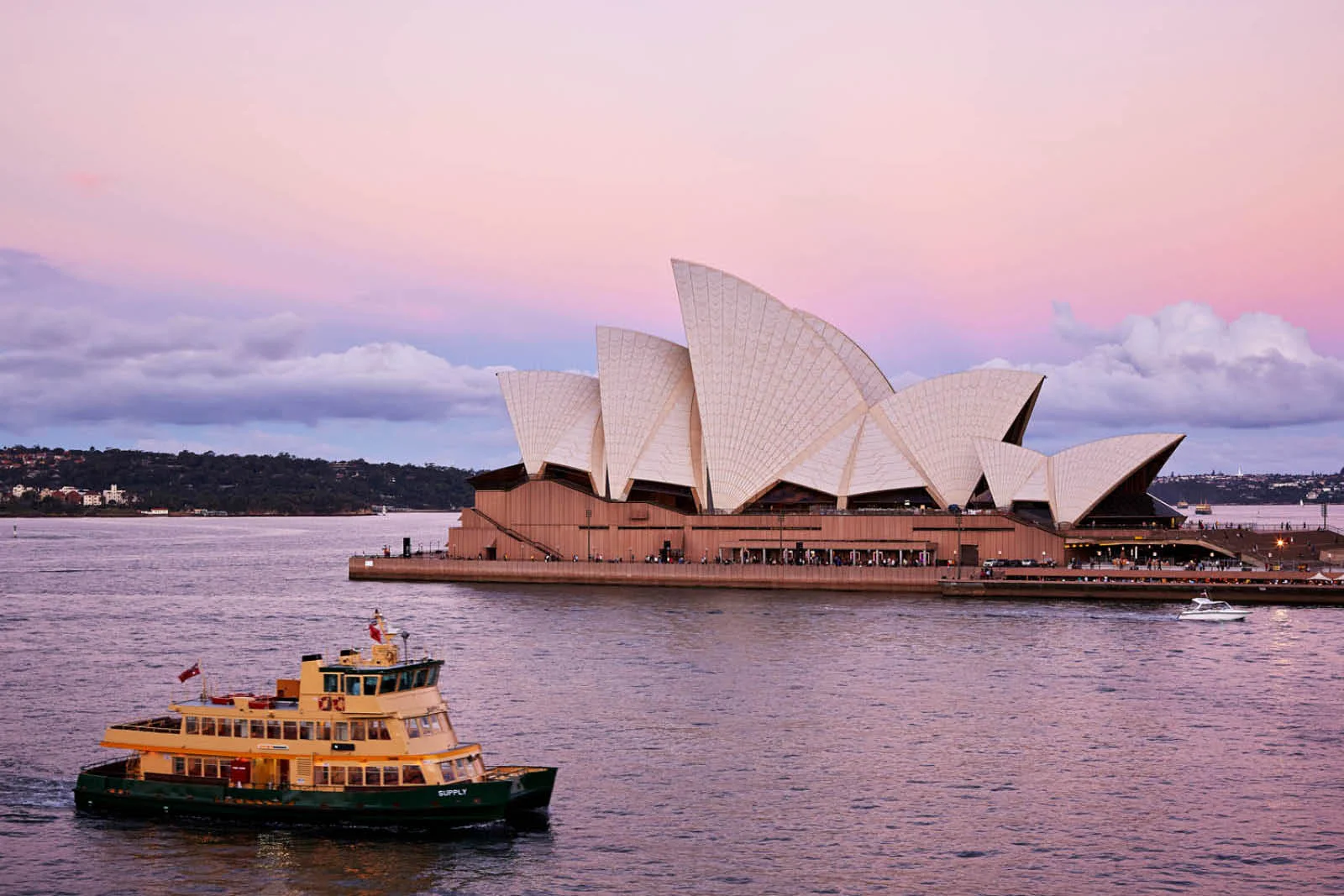 sydney city guide.jpg