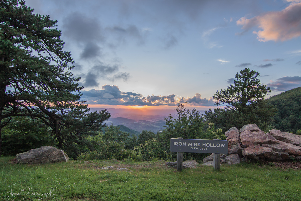 Iron Mine Hollow Overlook on the Blue Ridge Parkway