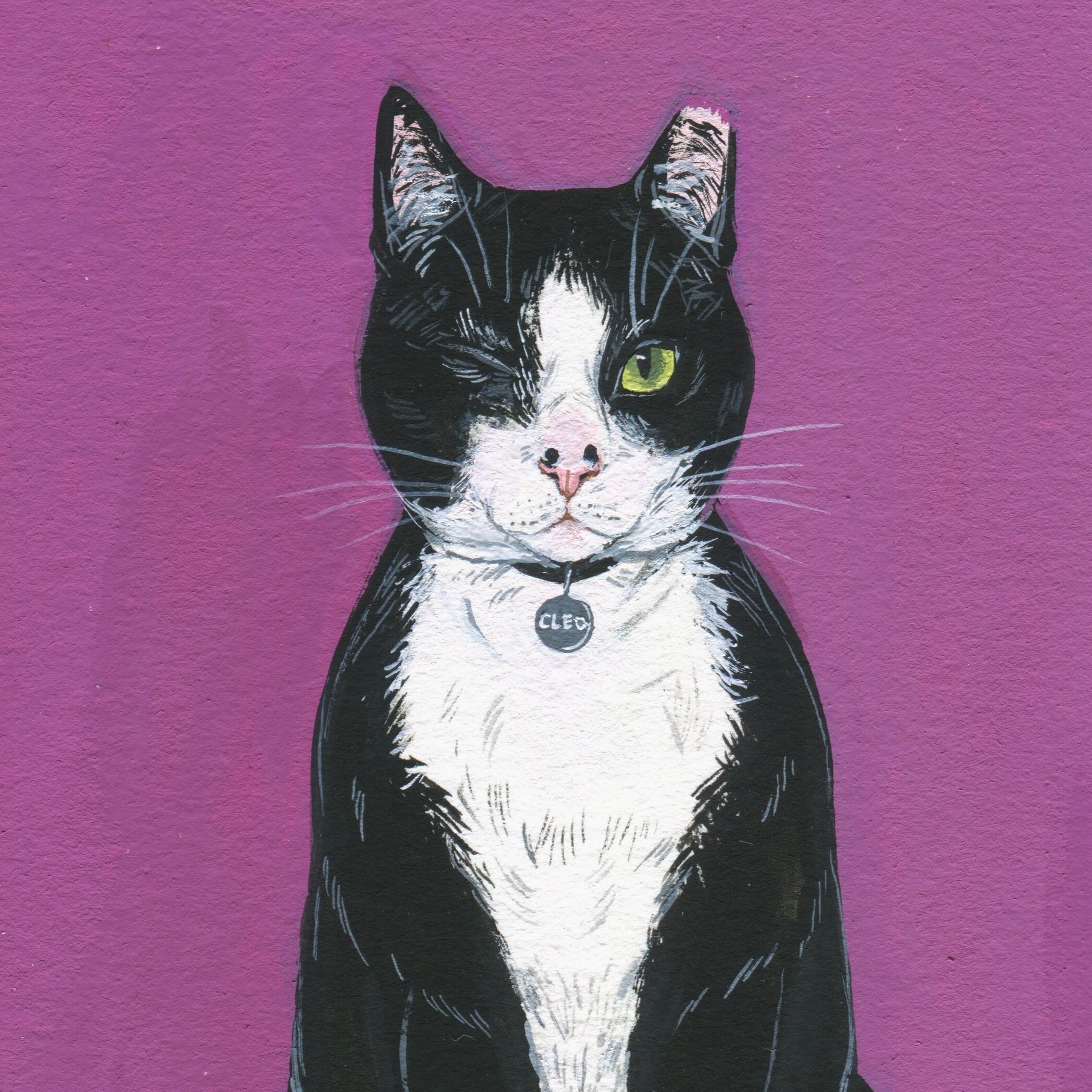 cleo_kitty_courtney.jpeg