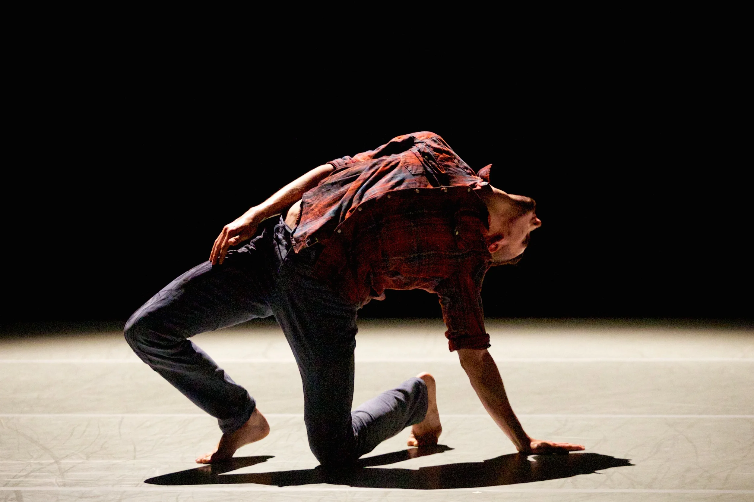 The Murmuring ROH_0716.jpg