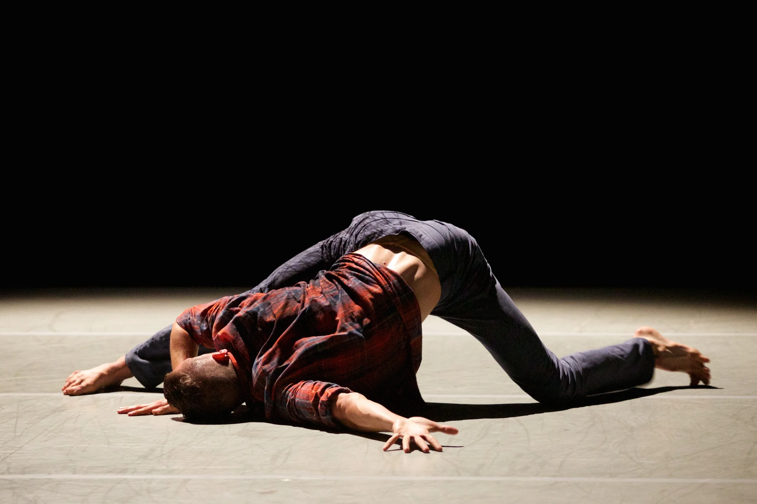 The Murmuring ROH_0721.jpg