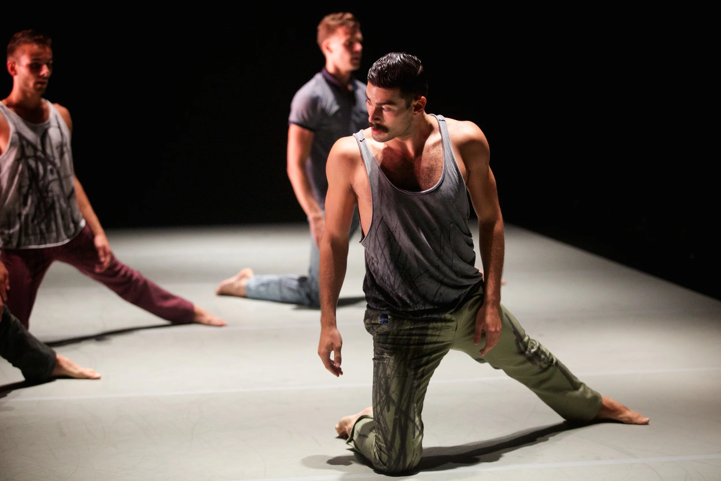 The Murmuring ROH_0936.jpg