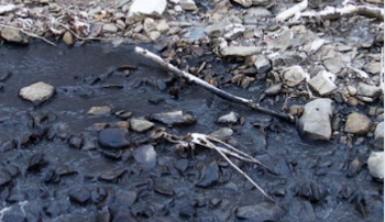 coalsludge.png