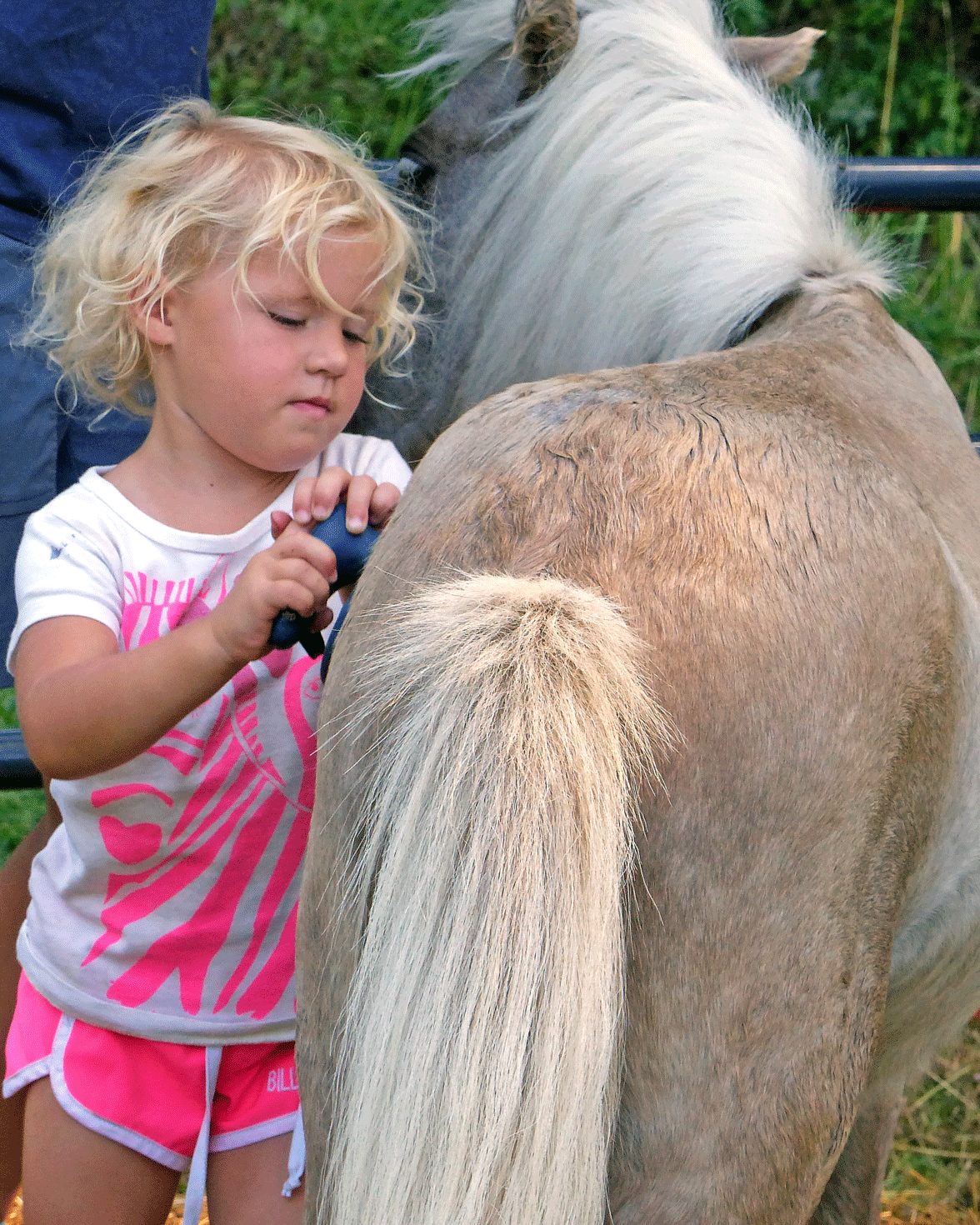 cami and mini.gif