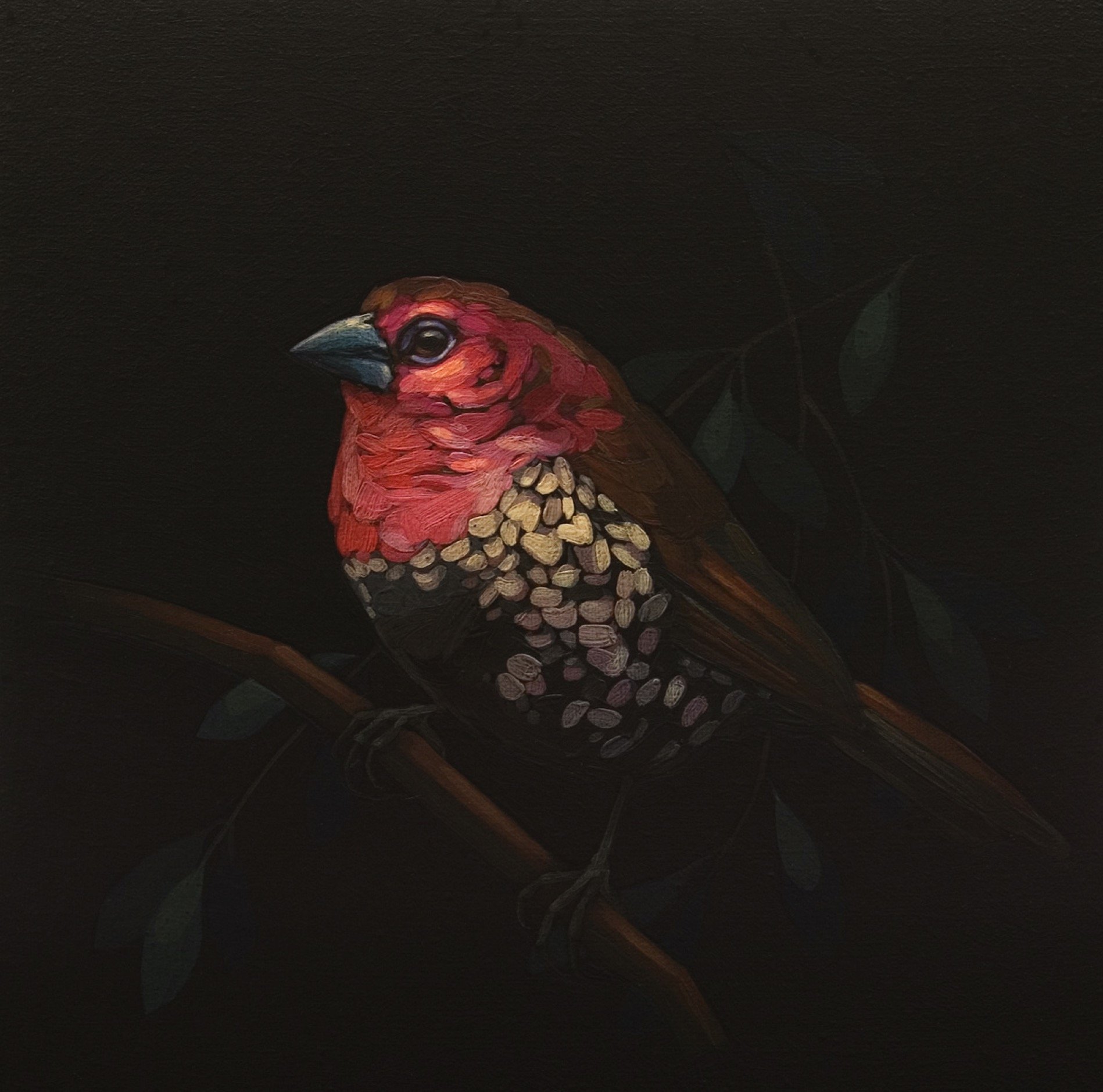 Darrell-Underschultz-bird-paintings-Pink-Throated-Twinspot.jpeg