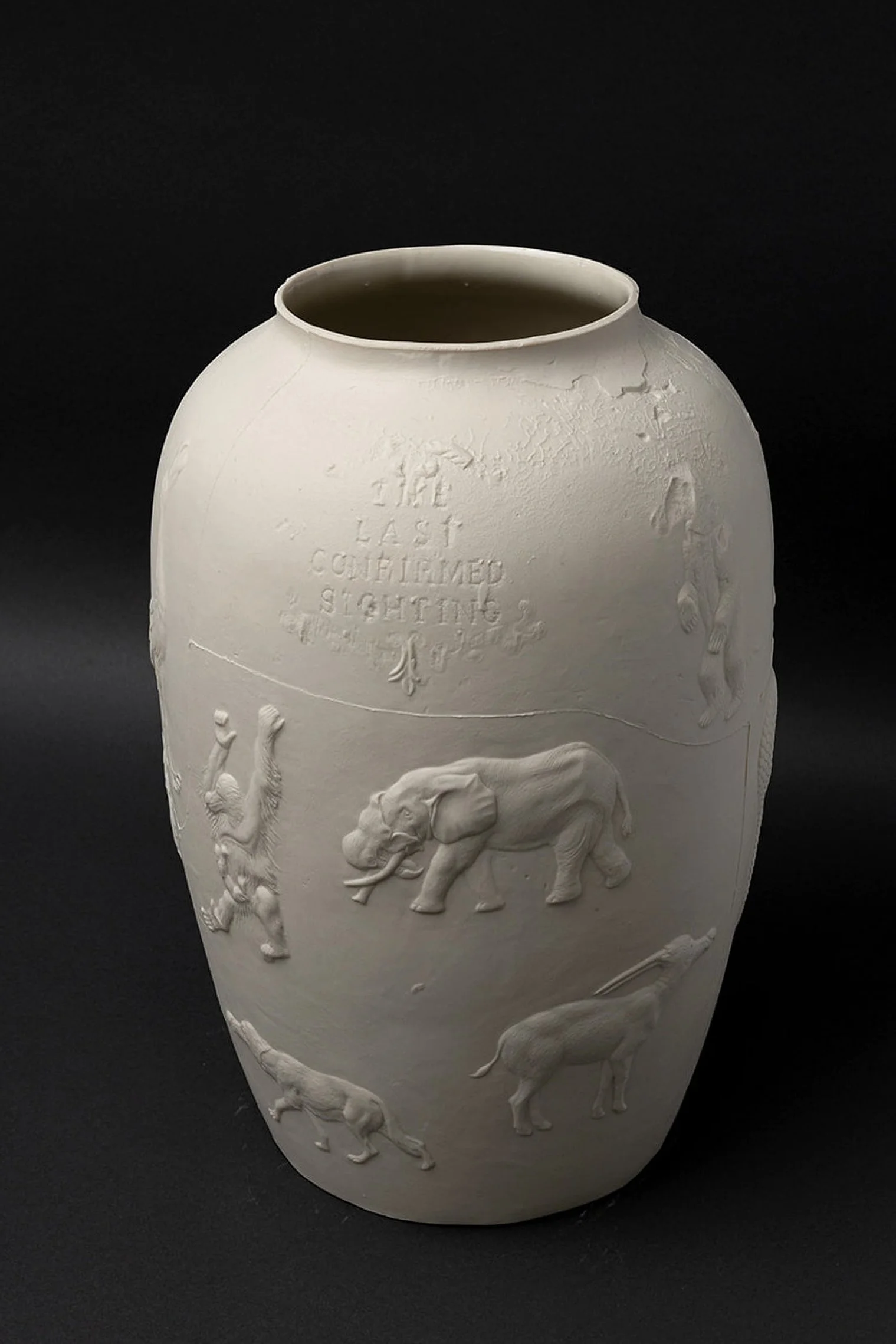 The Last Confirmed Sighting 2.jpeg