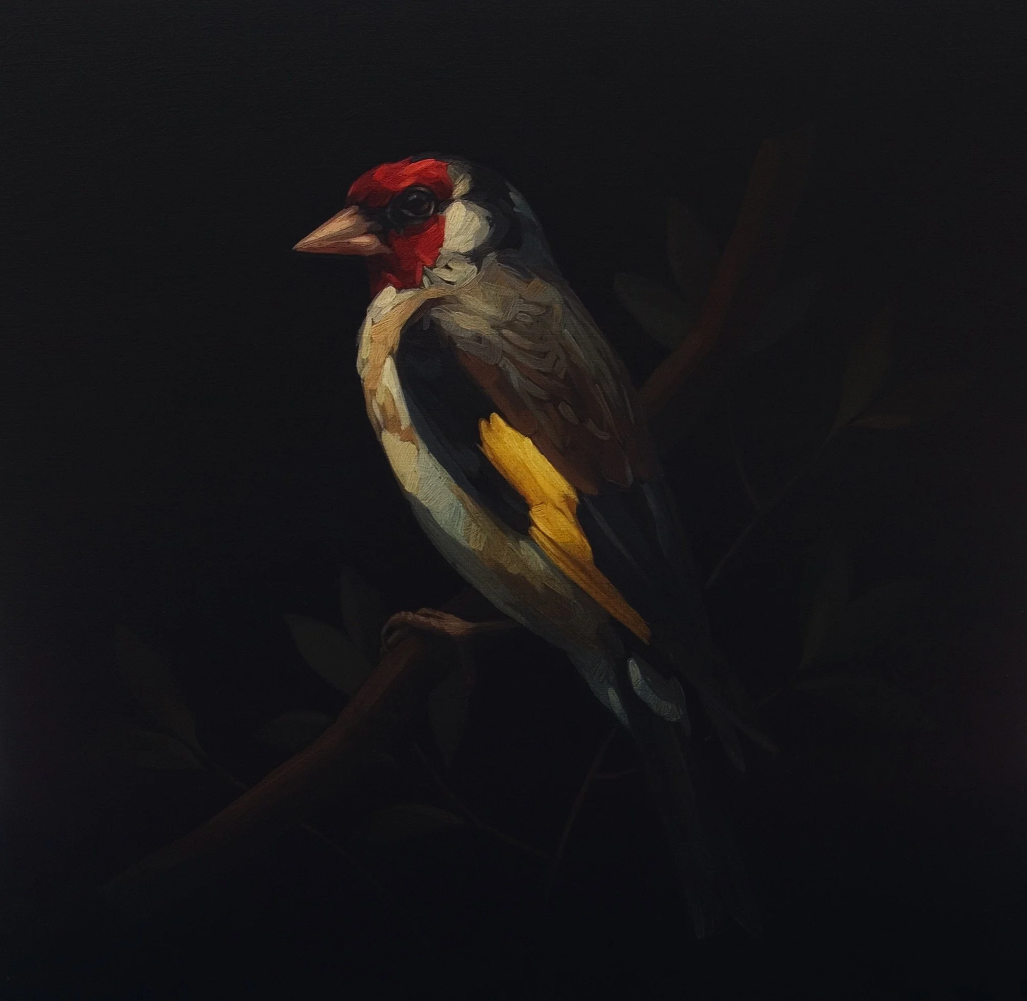 Darrell-Underschultz-bird-paintings-European-Goldfinch.jpeg
