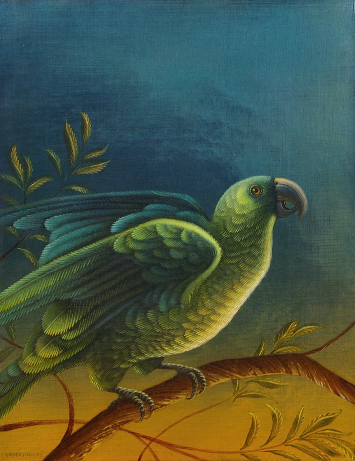 Darrell-Underschultz-bird-paintings-green-parrot