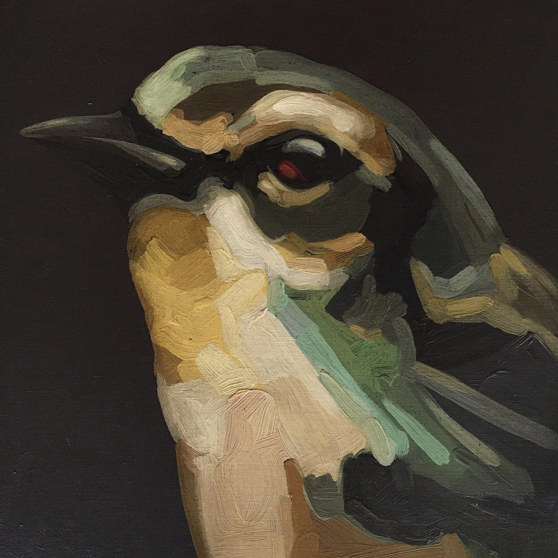 Darrell-Underschultz-bird-paintings-Warbler.jpeg