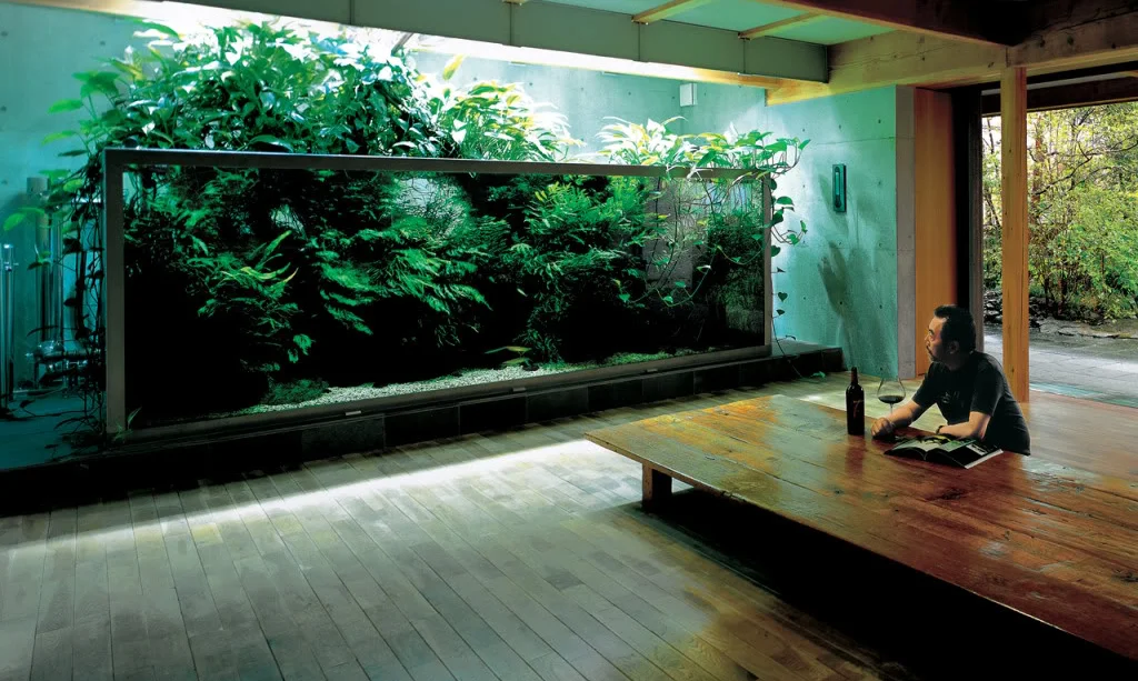 Aquarium Zen