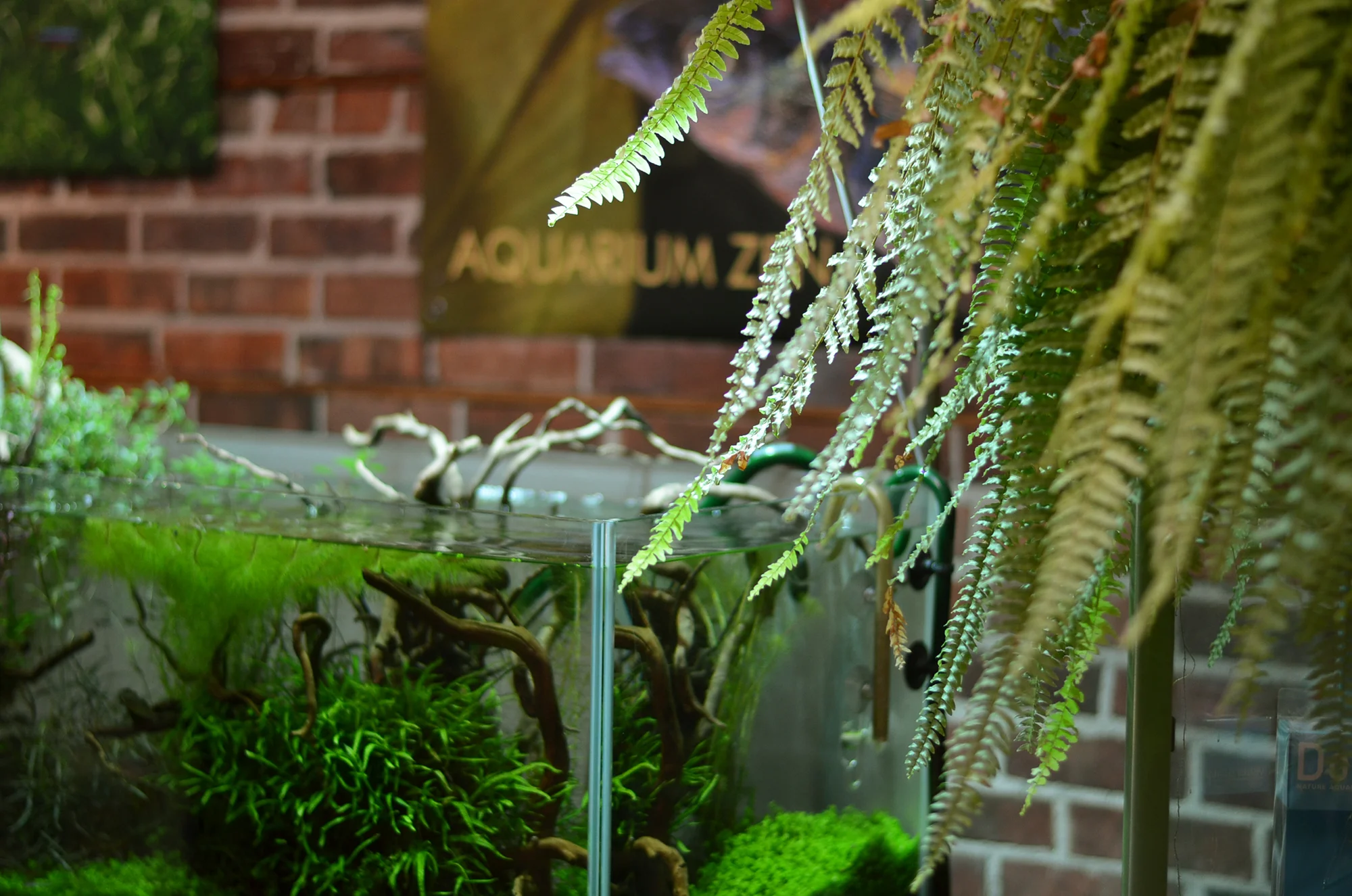 Store Closed March 20 - 22