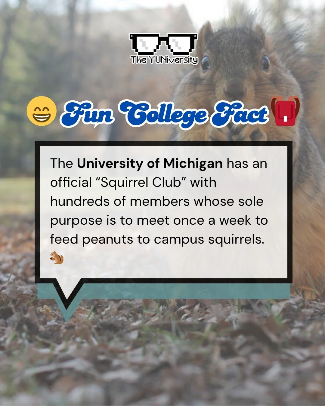 At the University of Michigan, school spirit isn&rsquo;t just in the Big House or the classrooms &hellip; it&rsquo;s in the trees too. 🐿️💙

Meet the Squirrel Club, one of U-M&rsquo;s most unexpectedly wholesome and iconic campus traditions. What st