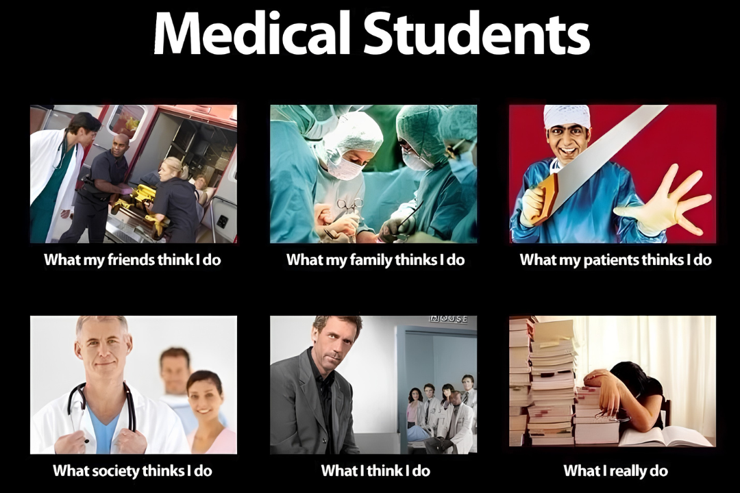 Med School.png