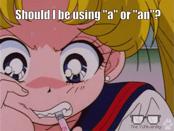 YUNiversity a or an.gif