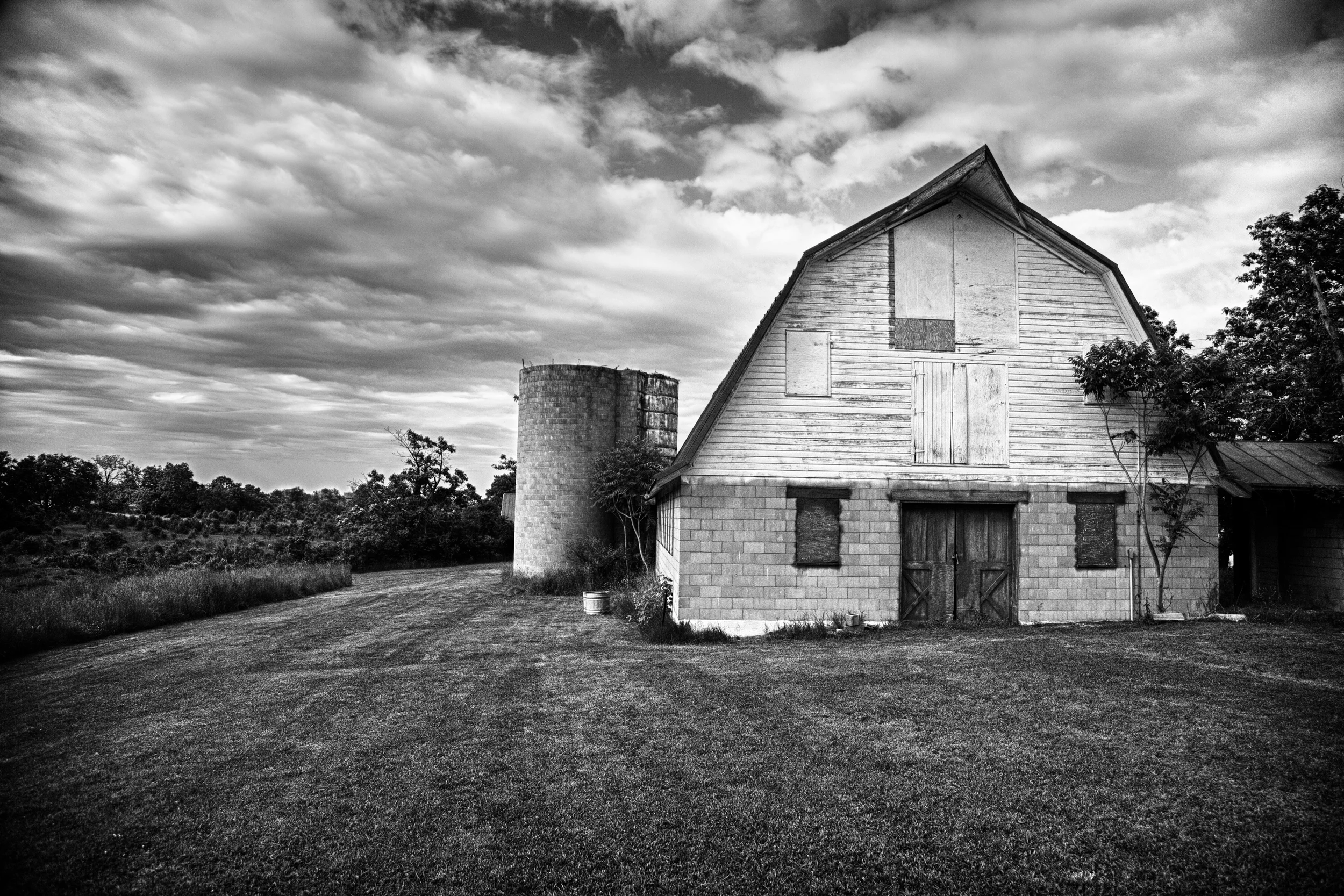 IMG_0AAA_BW.jpg
