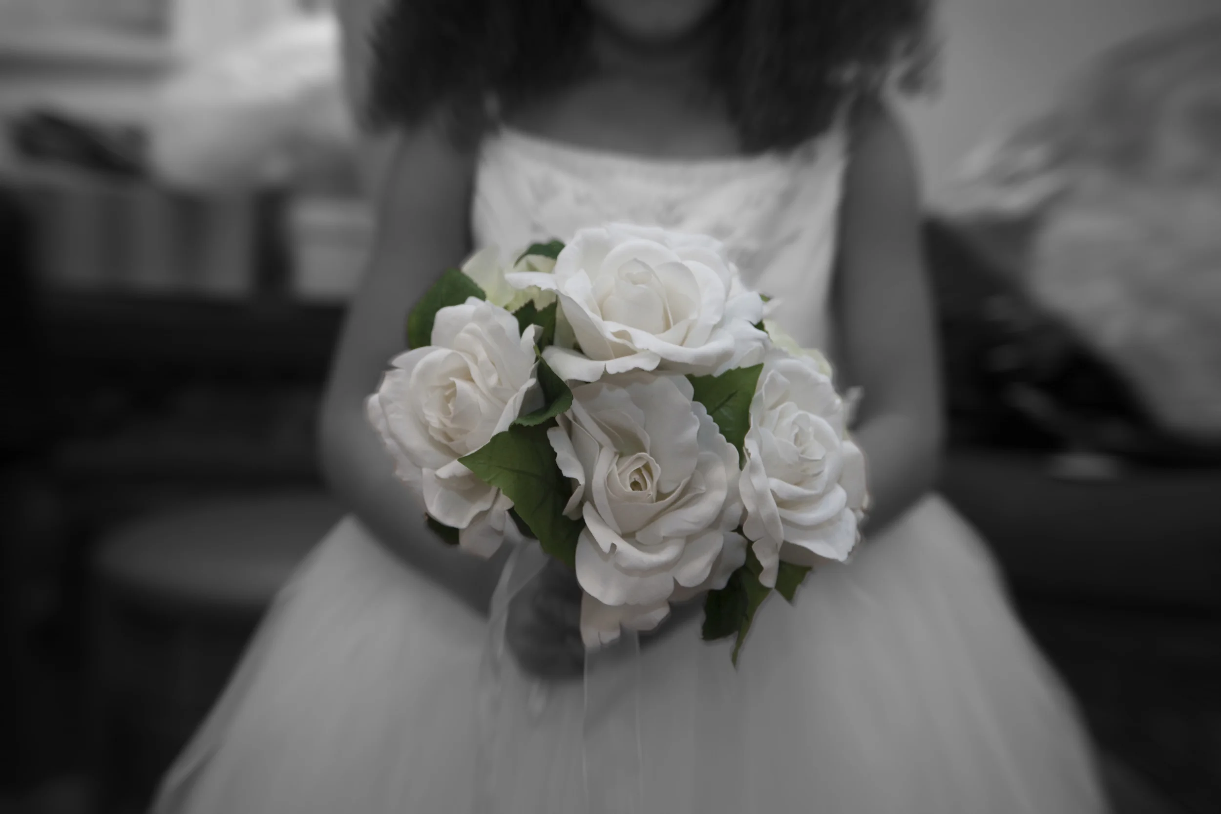 _MG_2005_Blur.jpg