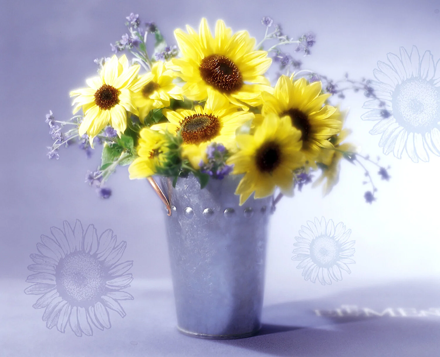 Greeting Card 9_linda_frost.jpg