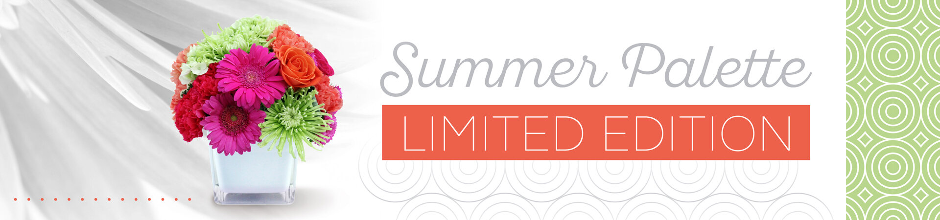 Summer-Palette~Limited-Edition-Banner.jpg