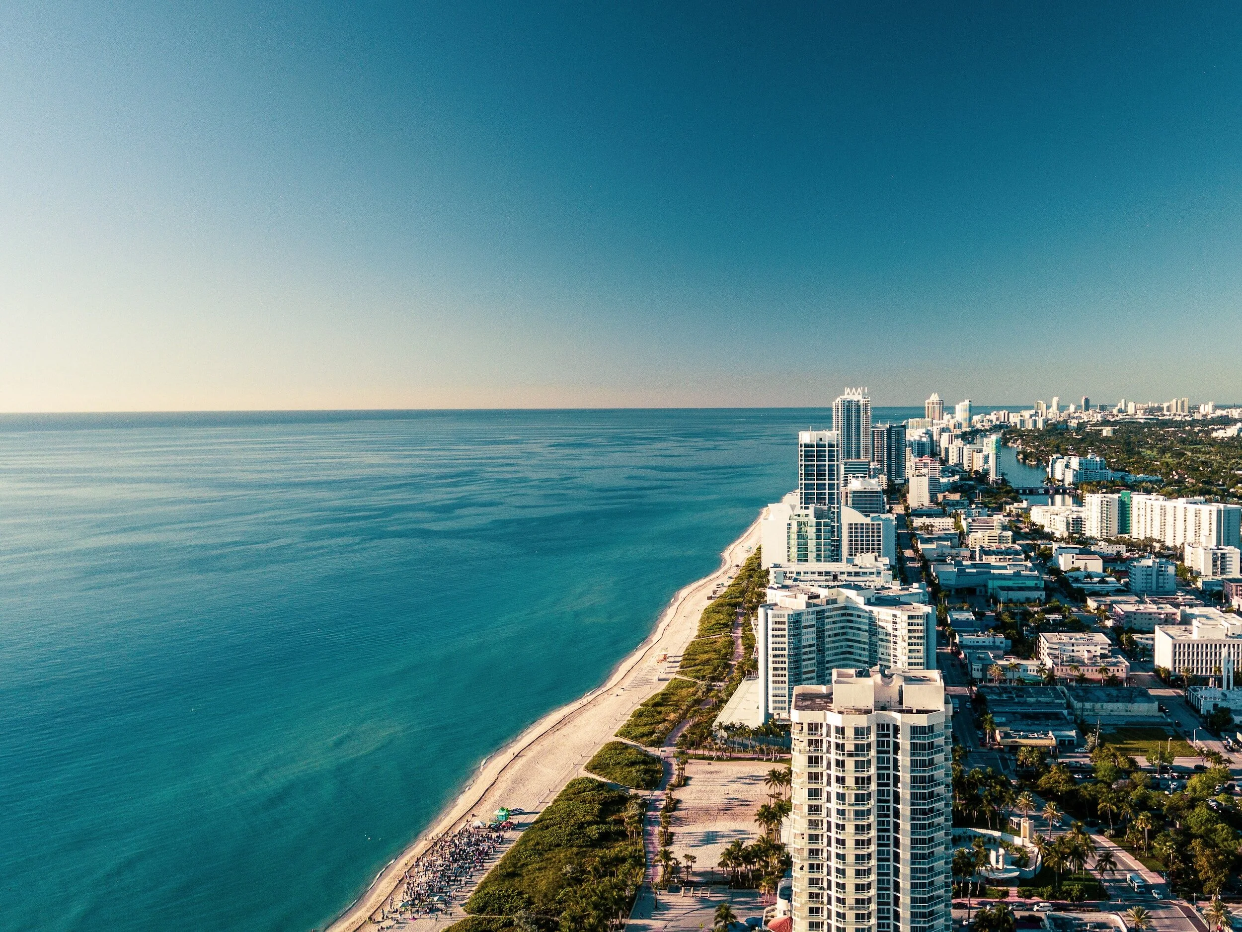 CSH Translation is Best Translation Company in Miami 2023