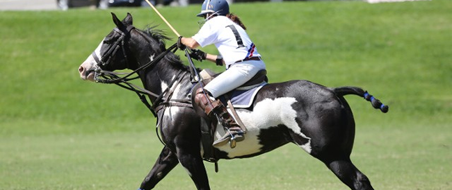 Karma LA Polo Excursion