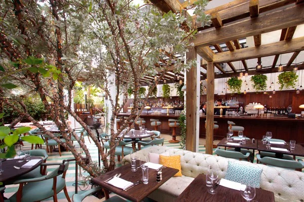 Karma Member Sunday Brunch