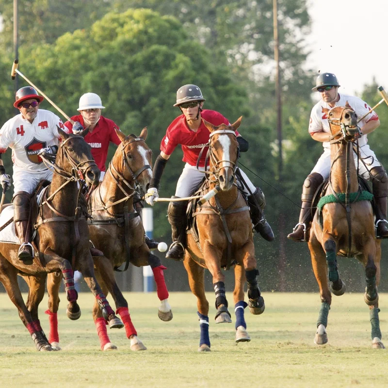 Karma Houston "The Sport of Kings & Queens" Social