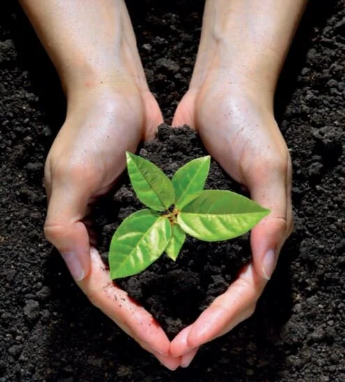 Augustine and Environment 