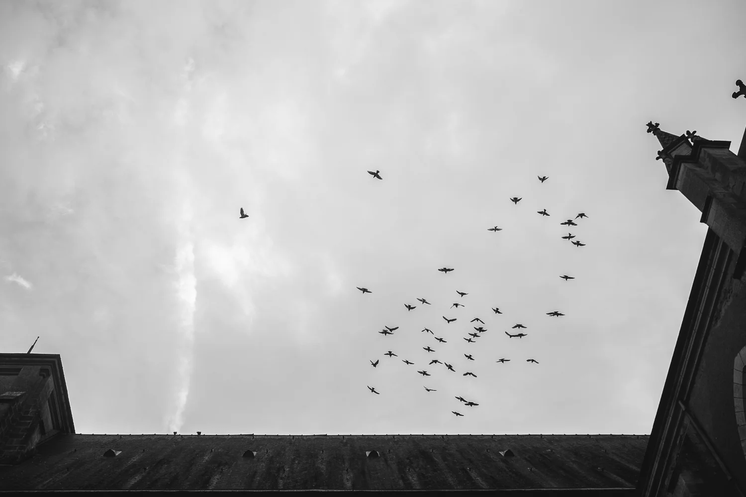 Western France -27.jpg