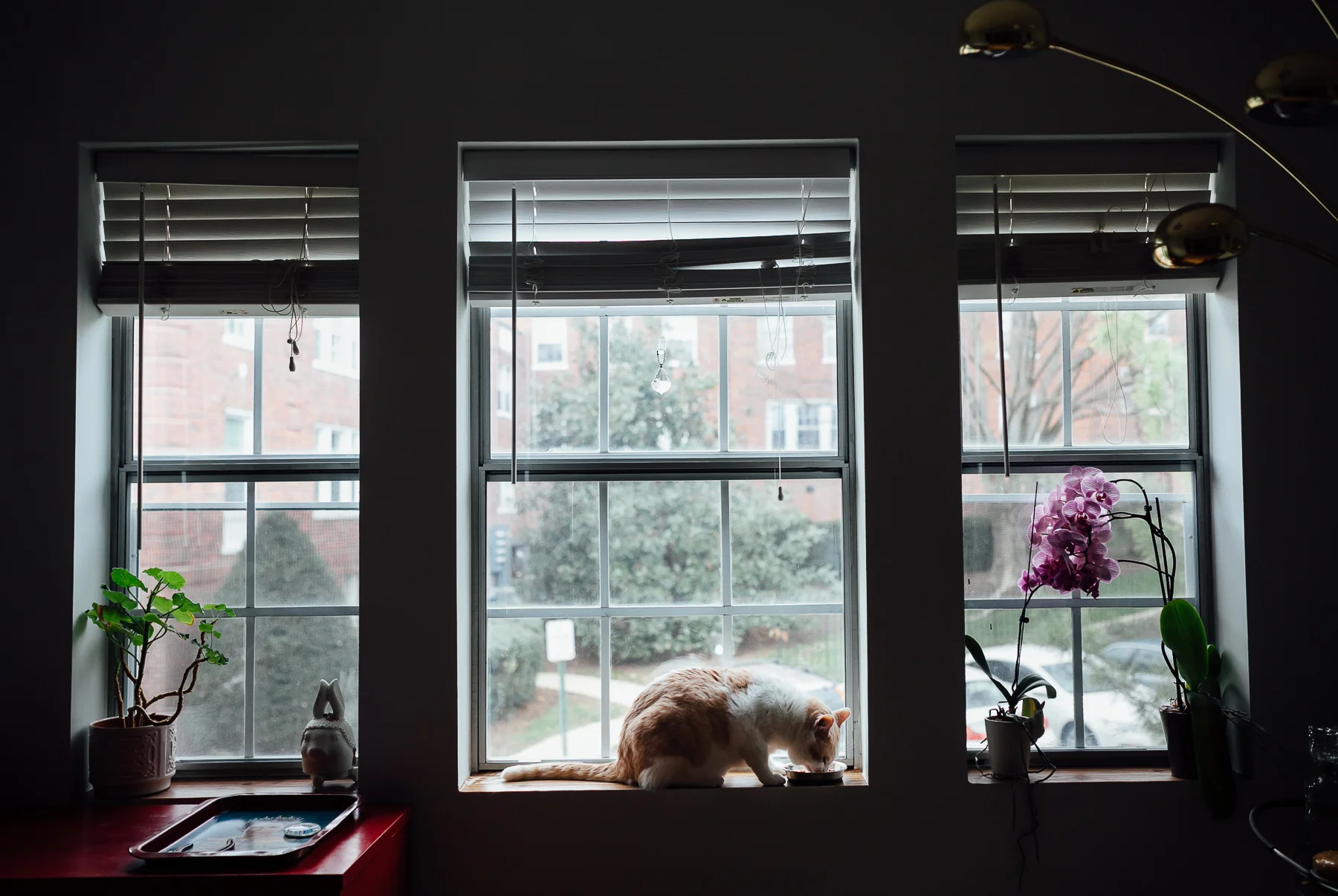 In-home photography Arlington VA-2.jpg
