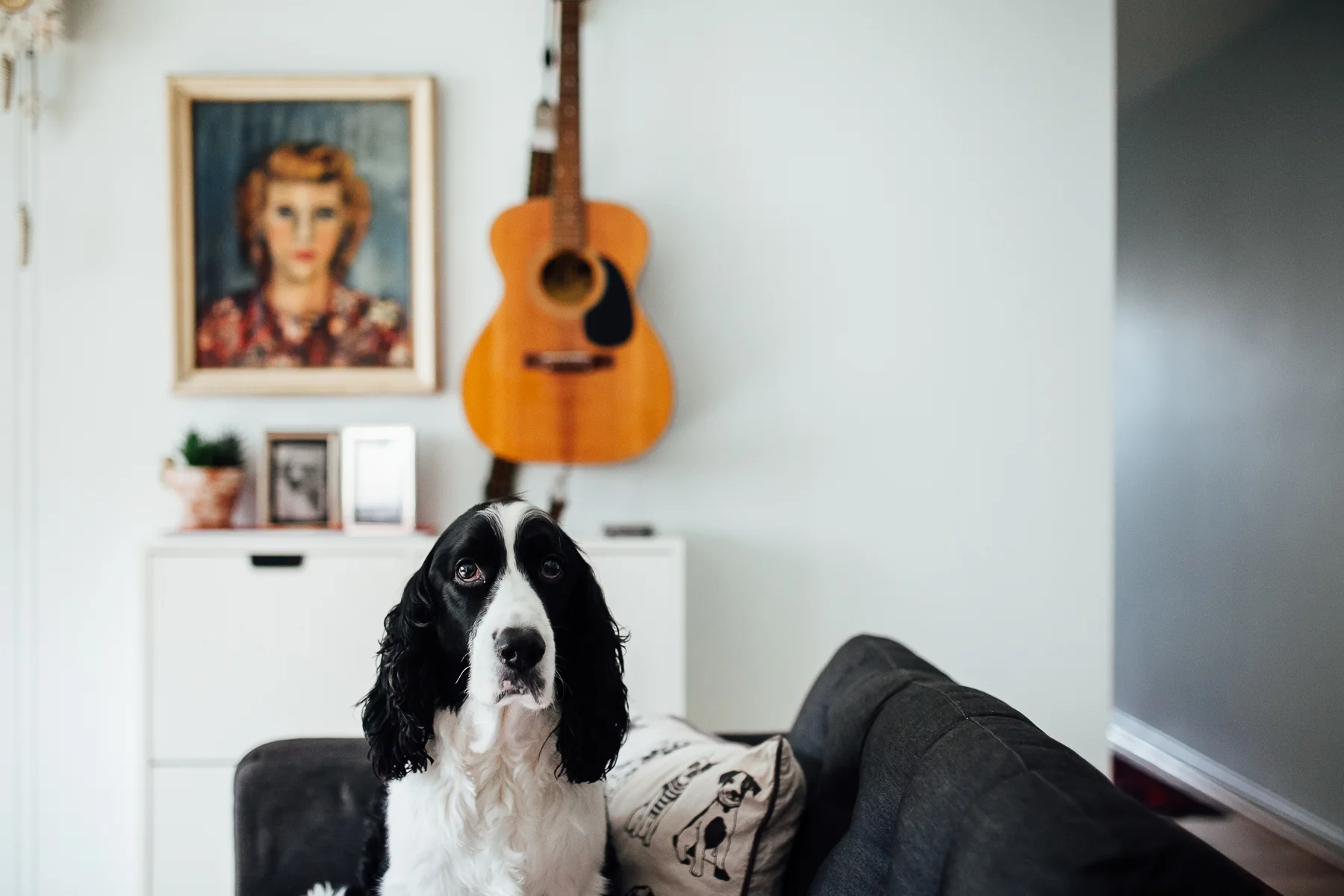 In-home photography Arlington VA-8.jpg