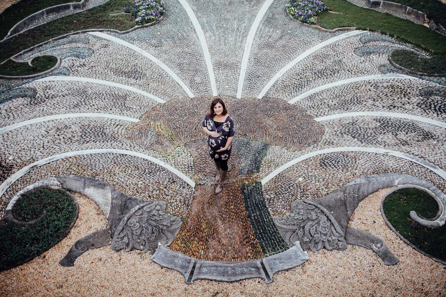 maternity photographer Washington DC-1.jpg