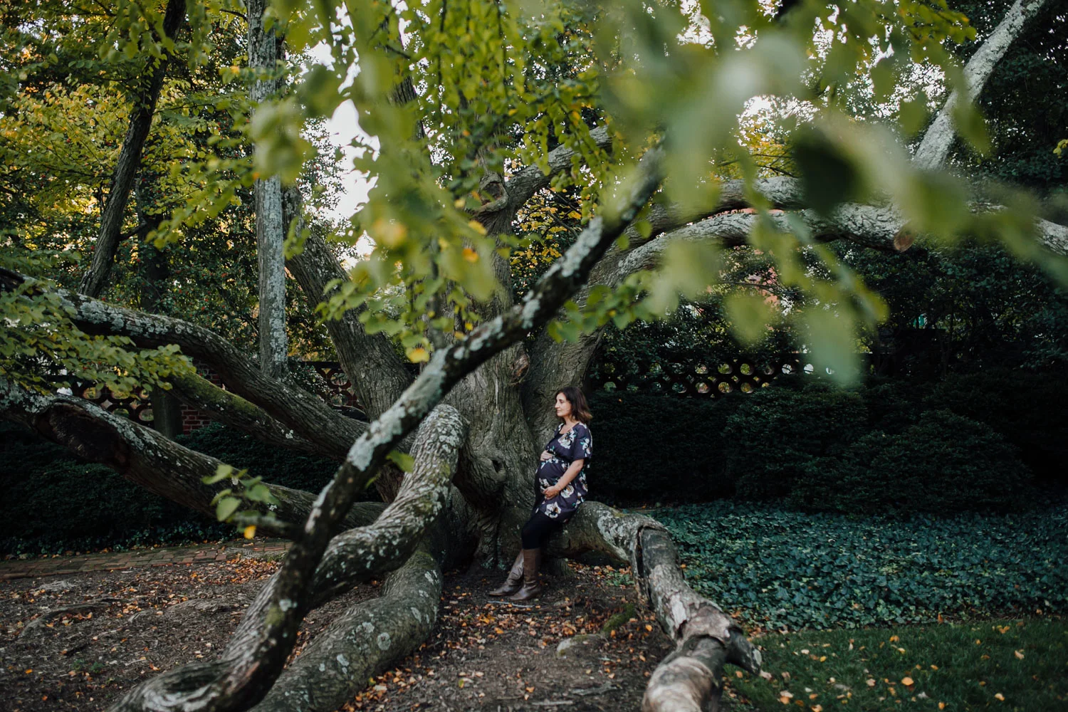 maternity photographer Washington DC-8.jpg