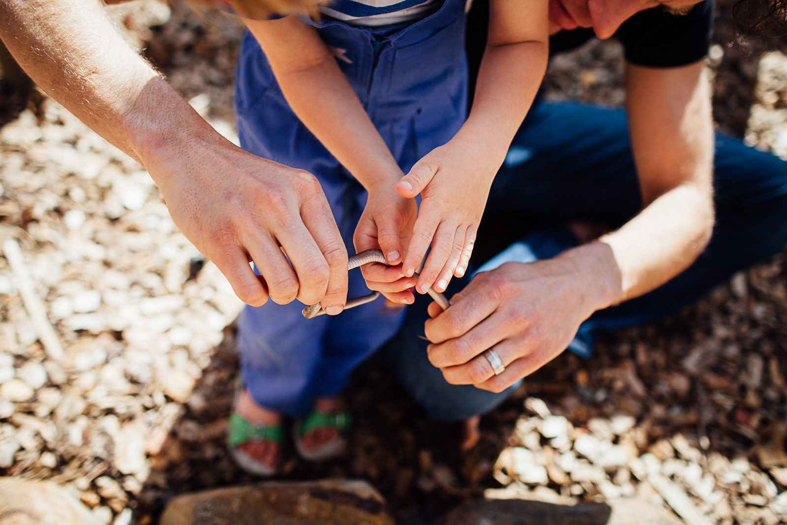 petting a snake in the backyard