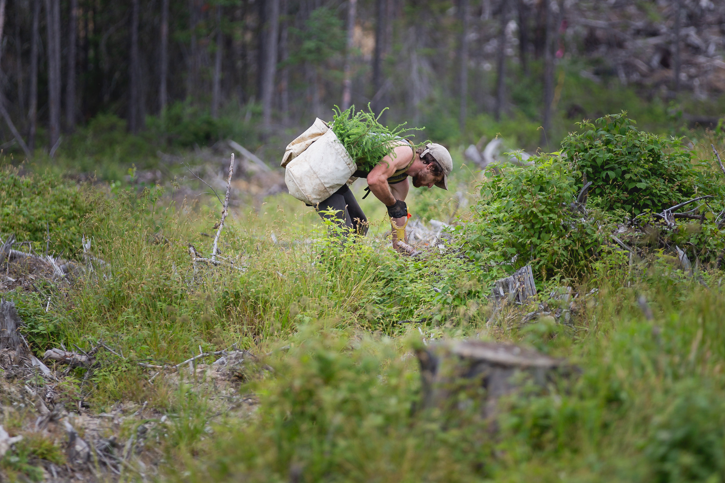 One Tree Planted016.jpg