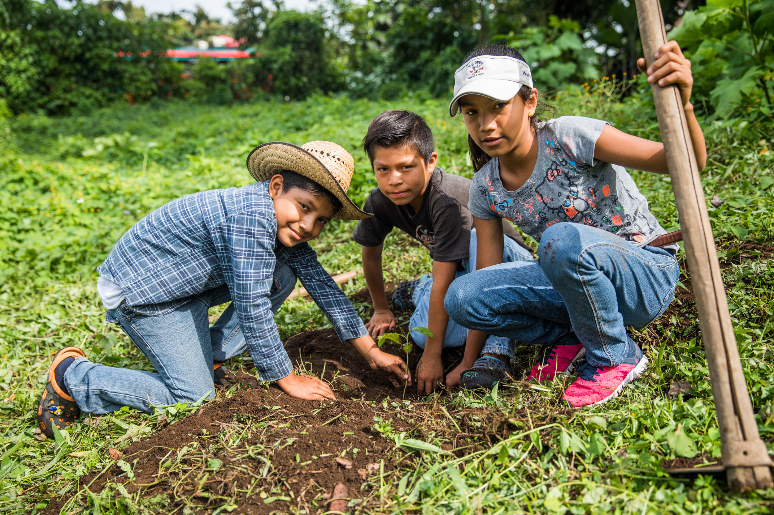 One Tree Planted063.jpg