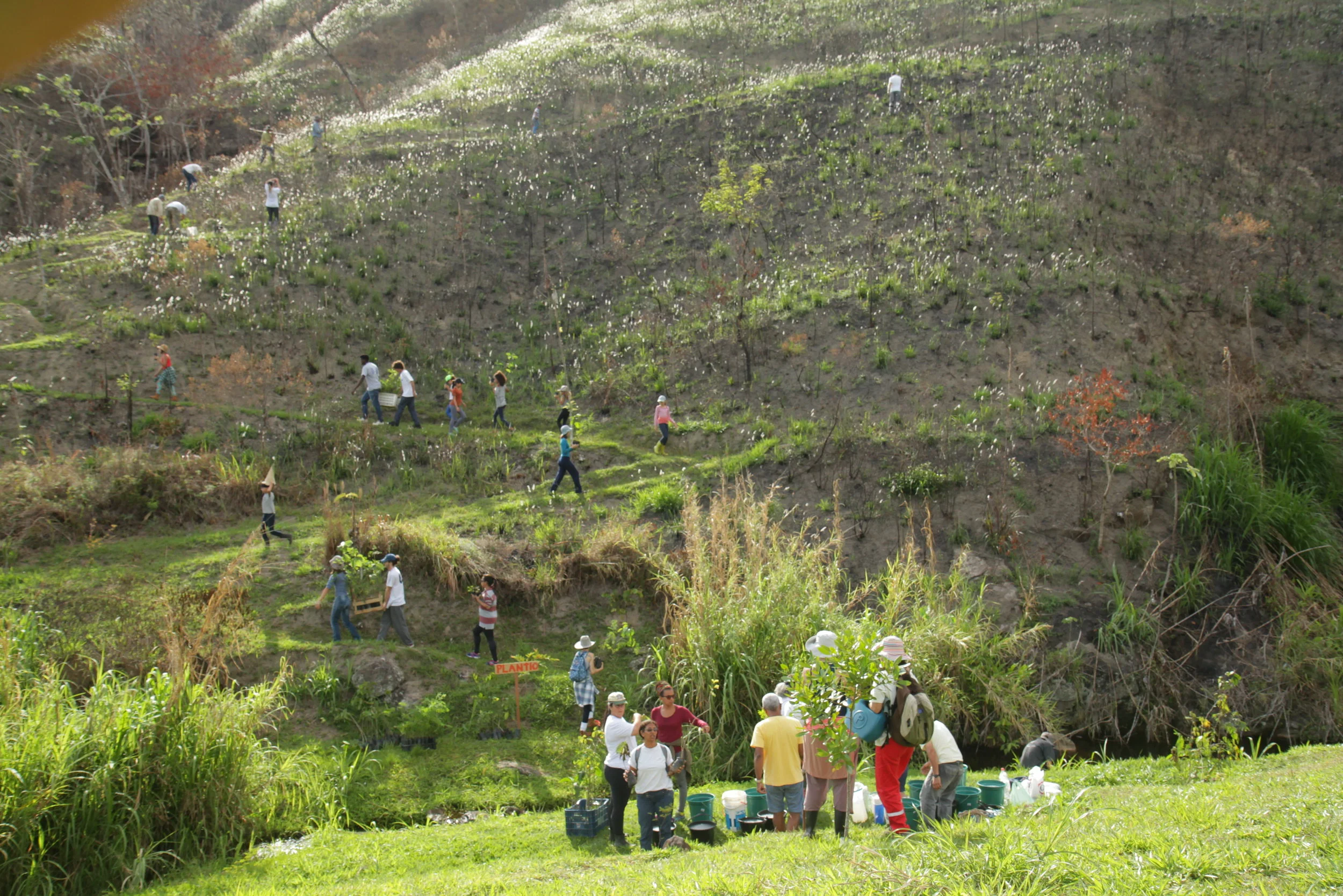 One Tree Planted030.JPG
