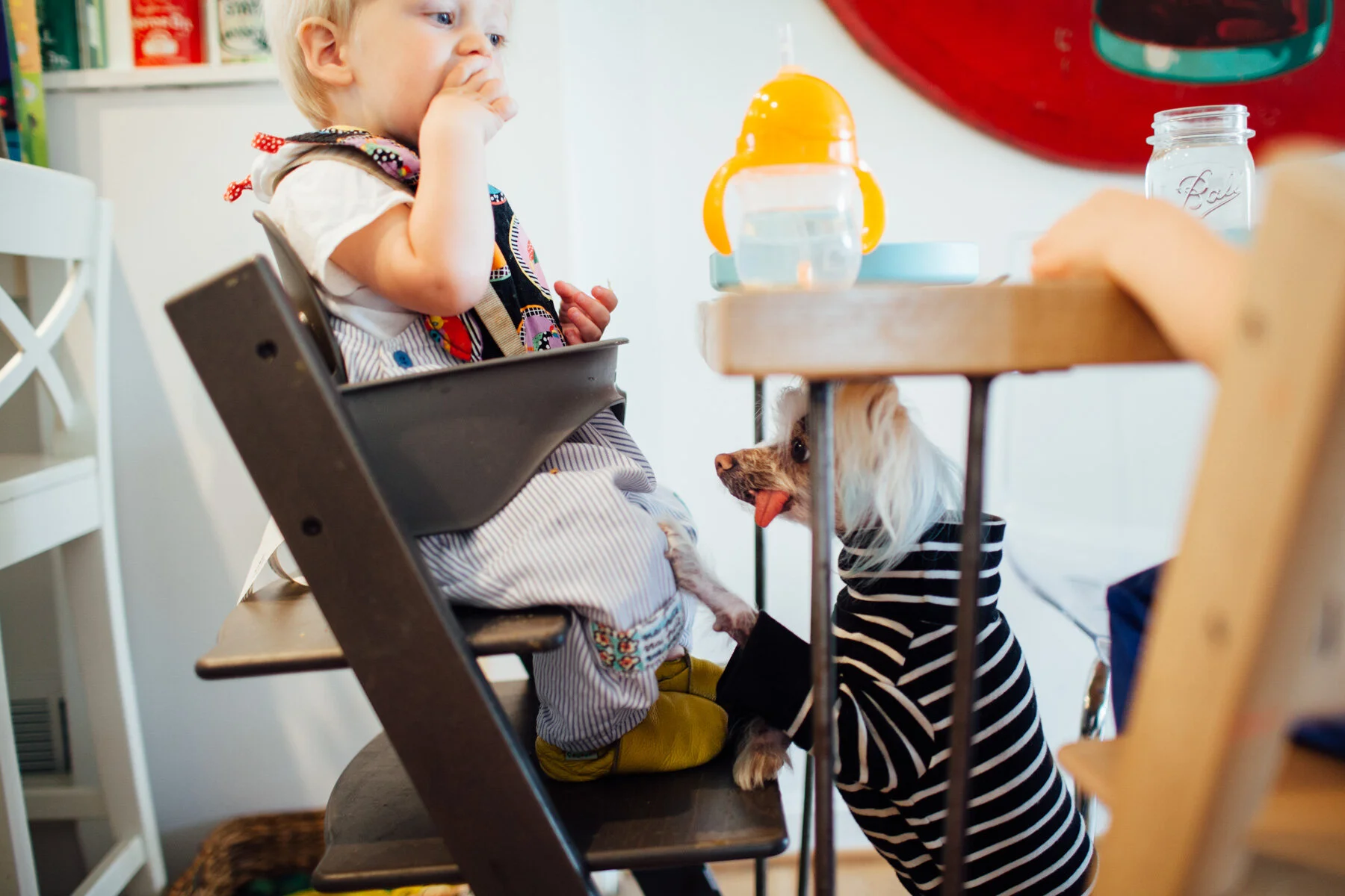 Fusion Video by Juliette fradin, lifestyle family photographer in Maryland 