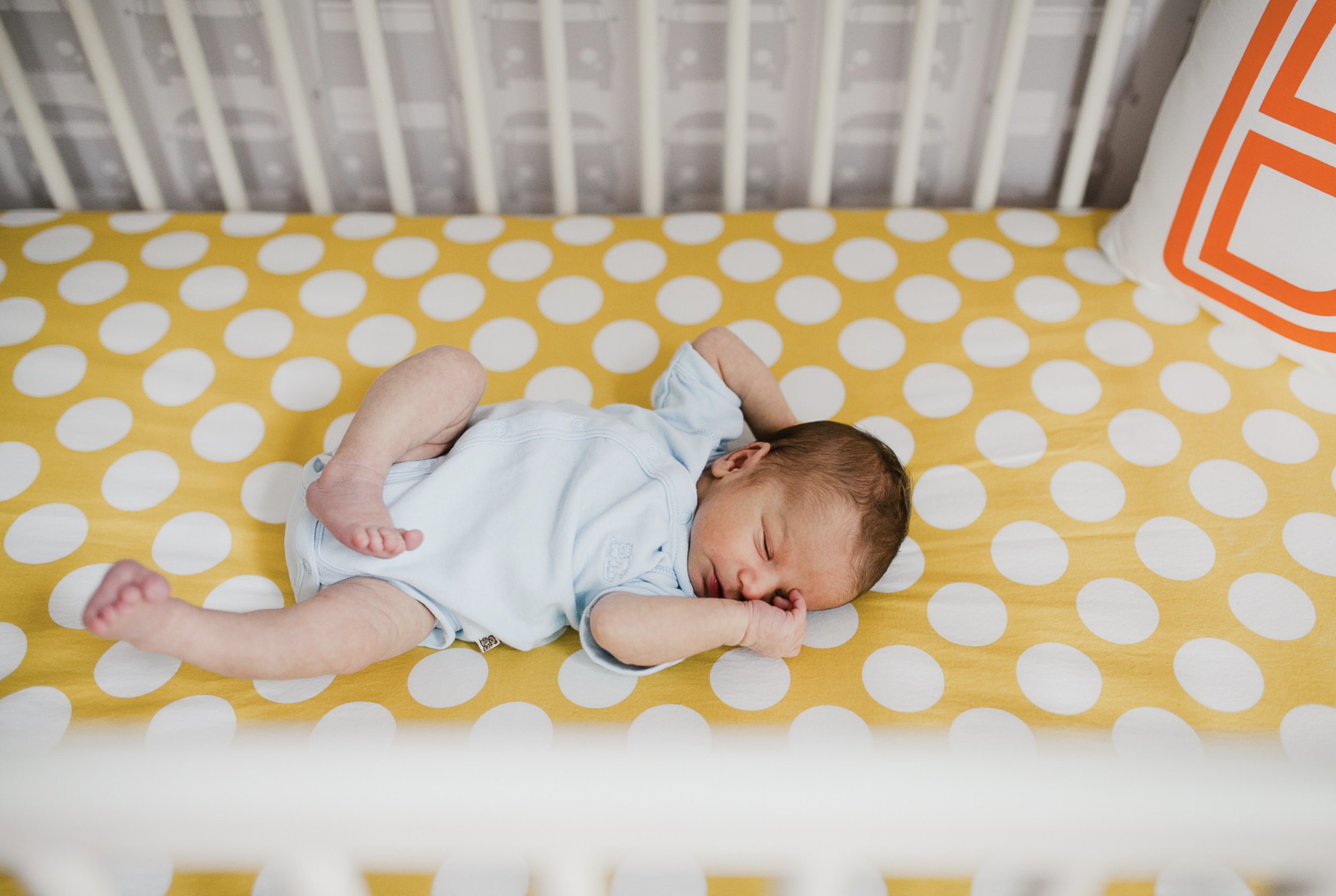 2015 in review - part 1 • Maryland Family photography 