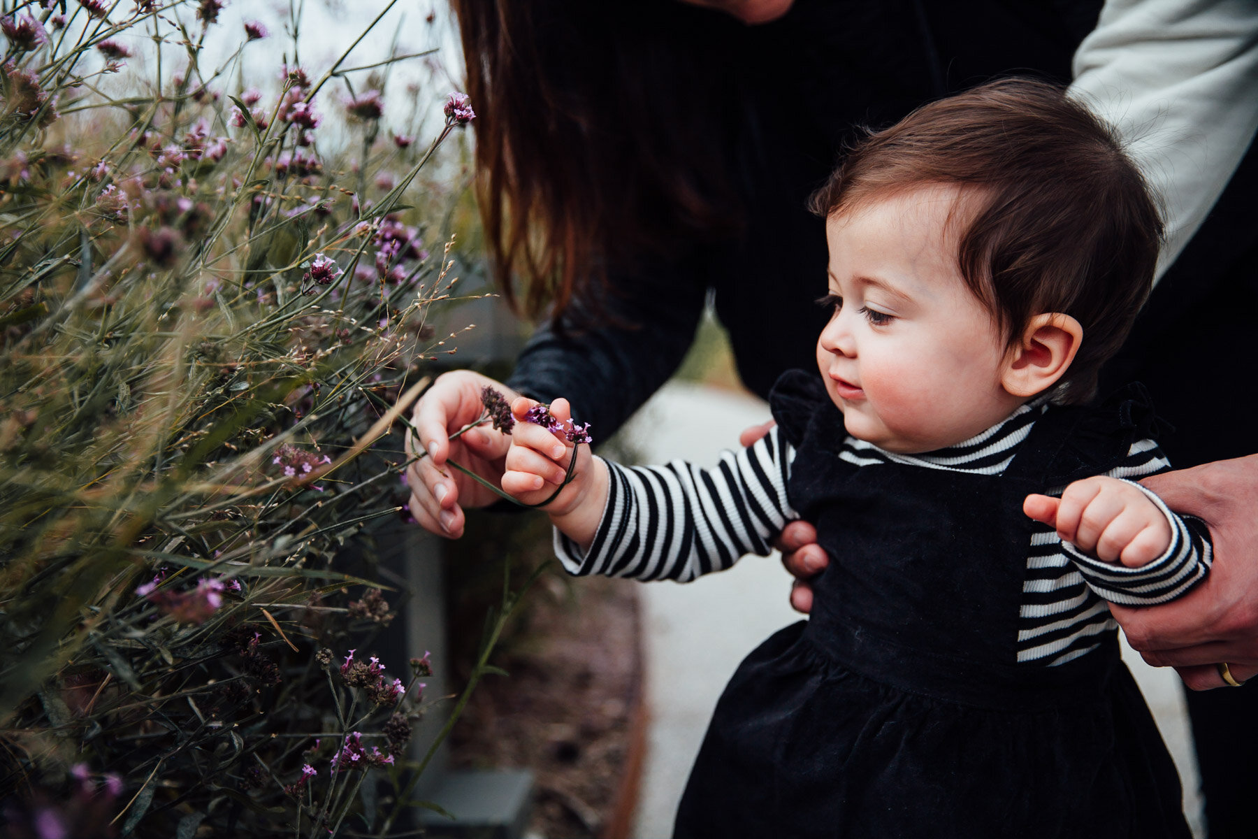 Kennedy Center mini session Fall-14.jpg