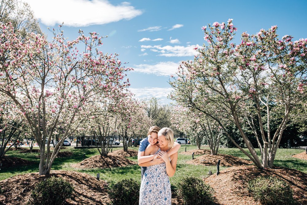 Cherry blossom in DC-01-3.jpg