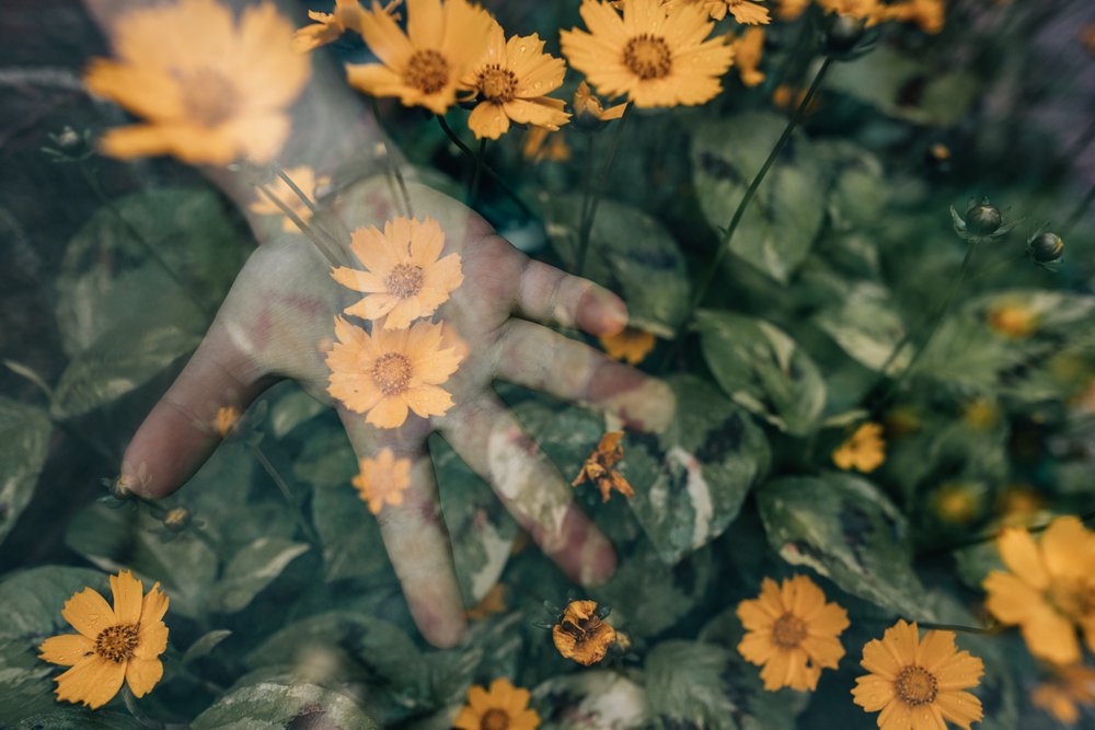  double exposure of hand and flowers 