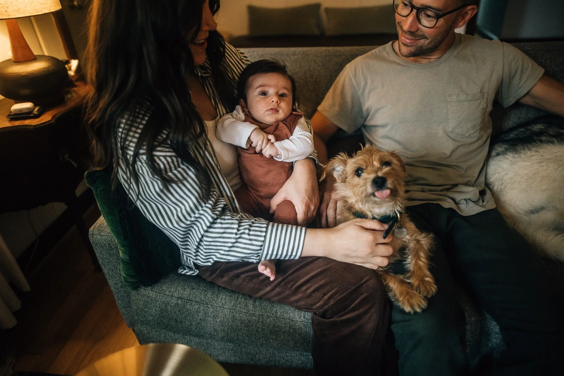 Differences between family sessions and mini sessions • DC family photographer
