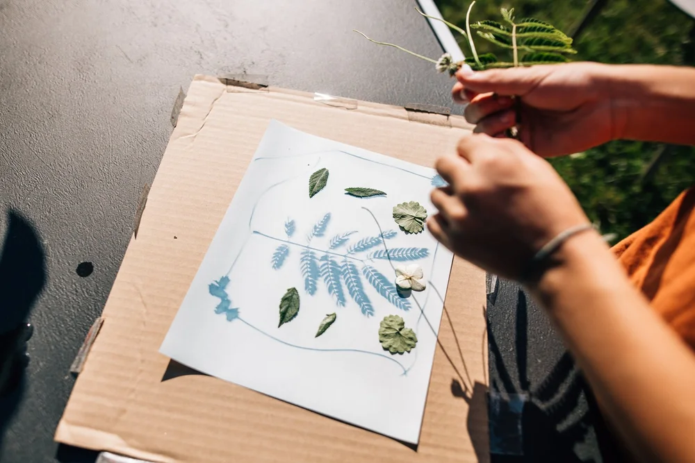 how to make a cyanotype_14.jpg