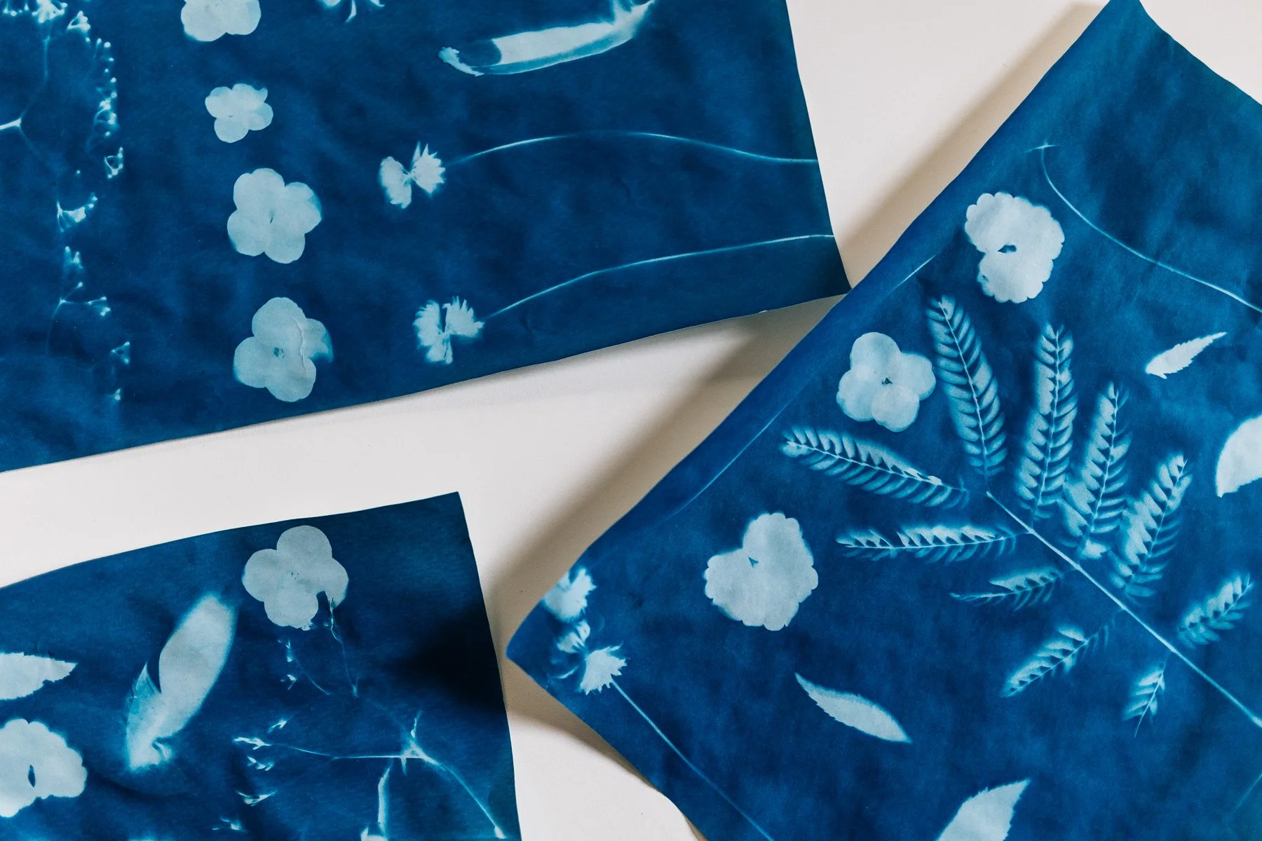 sun print_04.jpg