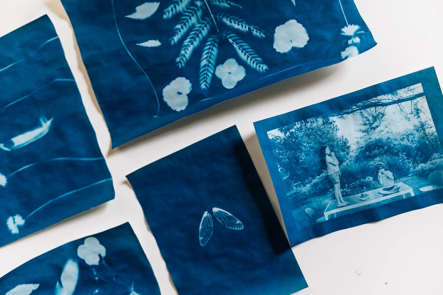 Guide to make the perfect sun prints with kids • Award winning DC family photographer